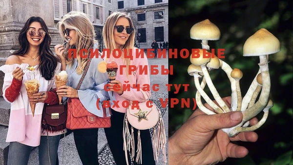 амф Ладушкин