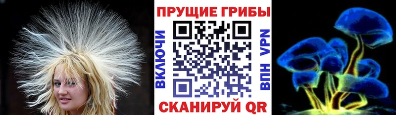 Галлюциногенные грибы прущие грибы Каспийск